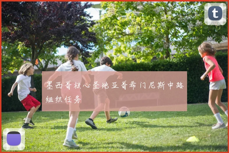 墨西哥核心圣地亚哥希门尼斯中路组织任务