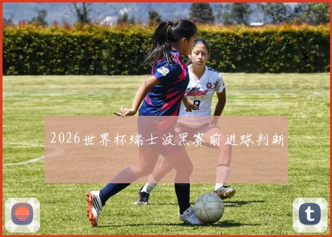 2026世界杯瑞士波黑赛前进球判断