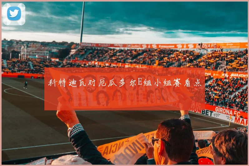 科特迪瓦对厄瓜多尔E组小组赛看点