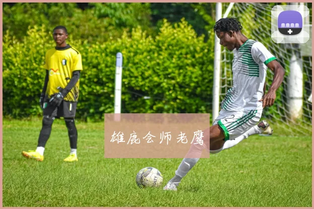 雄鹿会师老鹰