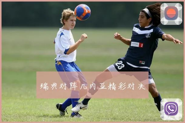 瑞典对阵几内亚精彩对决