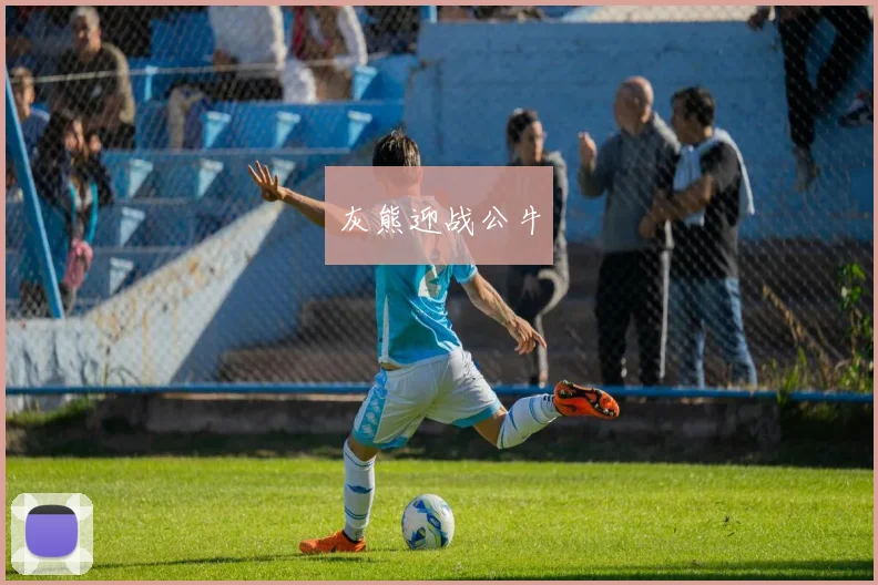 灰熊迎战公牛