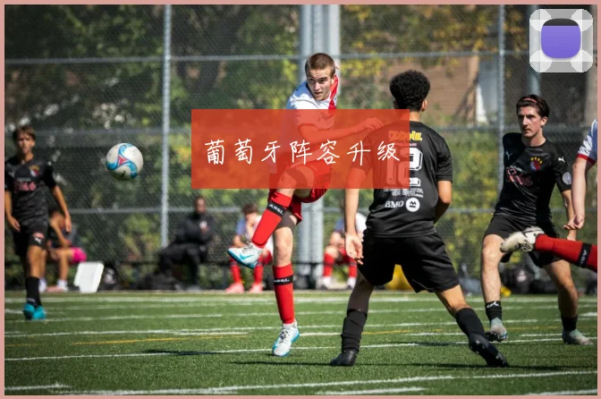 葡萄牙阵容升级