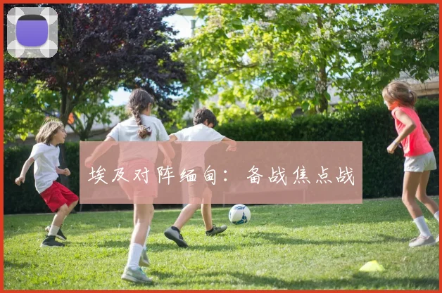 埃及对阵缅甸：备战焦点战