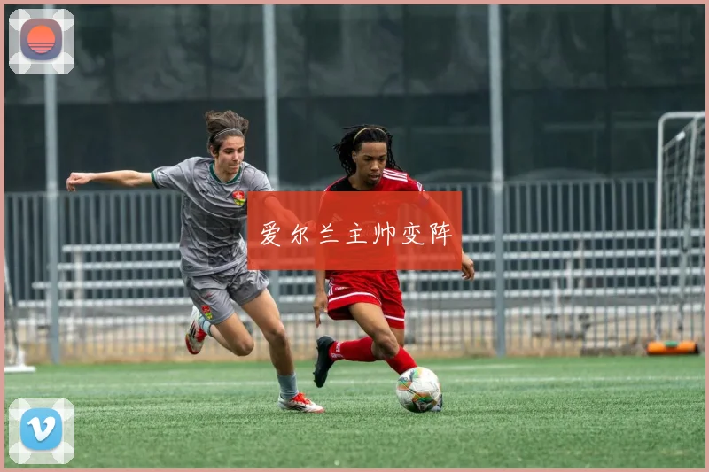 爱尔兰主帅变阵