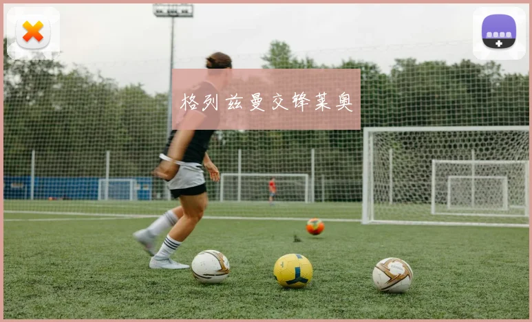 格列兹曼交锋莱奥