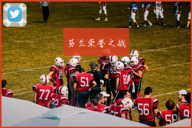 芬兰荣誉之战