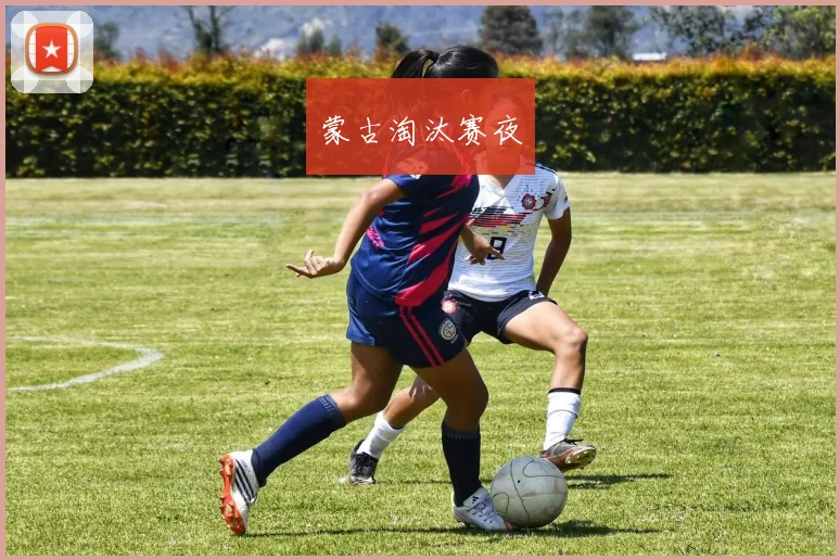 蒙古淘汰赛夜