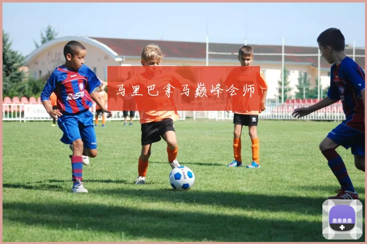 马里巴拿马巅峰会师