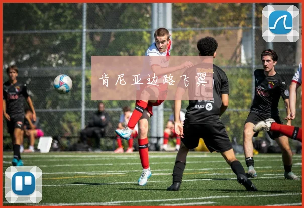 肯尼亚边路飞翼