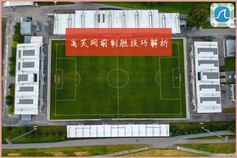高芙网前制胜技巧解析