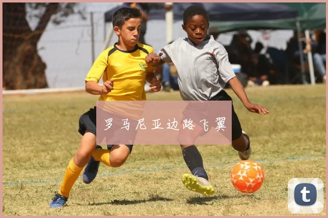 罗马尼亚边路飞翼