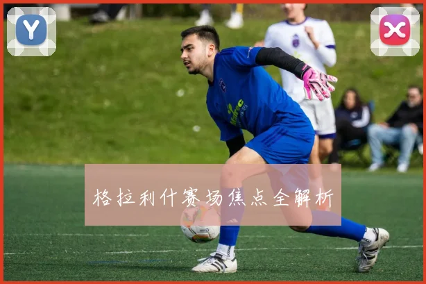 格拉利什赛场焦点全解析