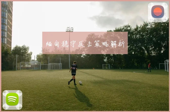 缅甸稳守反击策略解析