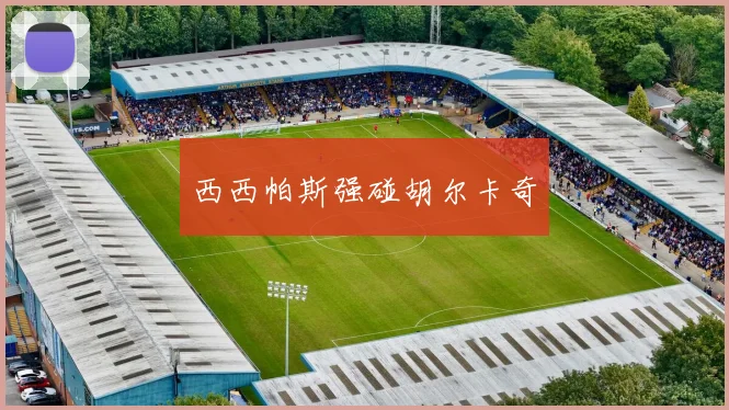西西帕斯强碰胡尔卡奇