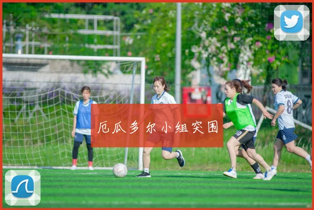 厄瓜多尔小组突围