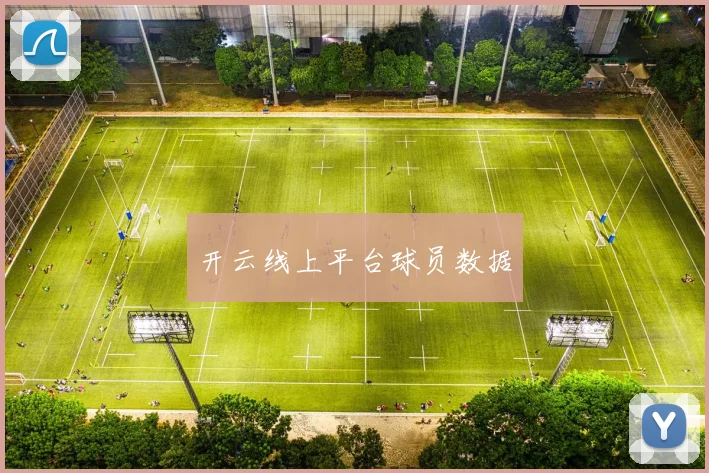 开云线上平台球员数据