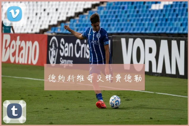 德约科维奇交锋费德勒