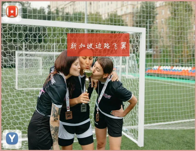 新加坡边路飞翼
