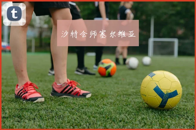 沙特会师塞尔维亚