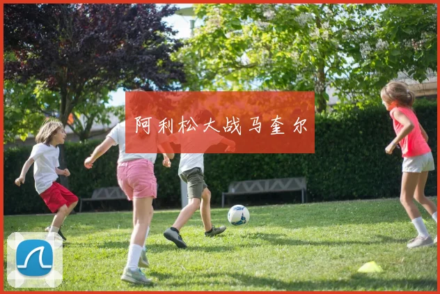阿利松大战马奎尔
