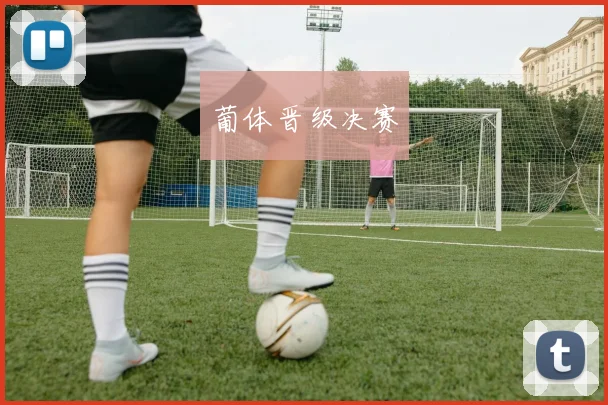葡体晋级决赛