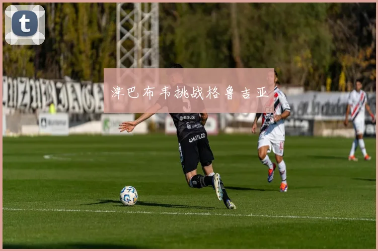 津巴布韦挑战格鲁吉亚