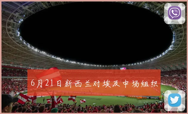 6月21日新西兰对埃及中场组织