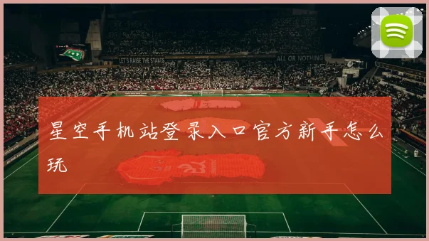 星空手机站登录入口官方新手怎么玩