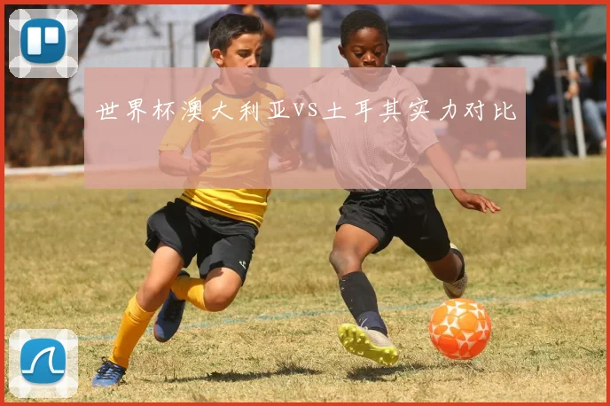 世界杯澳大利亚vs土耳其实力对比